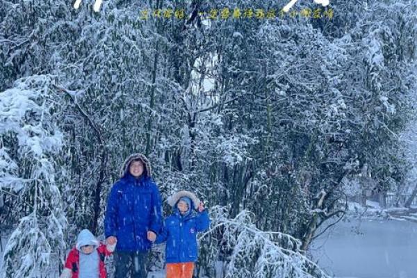 庐山下雪时间揭秘：最佳观雪季节和注意事项